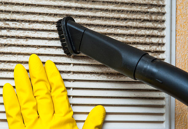 Best Affordable HVAC Duct Cleaning  in Long Beach, IN
